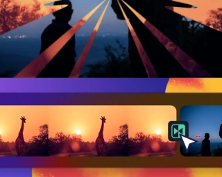 Visual Design Mastery course in chennai