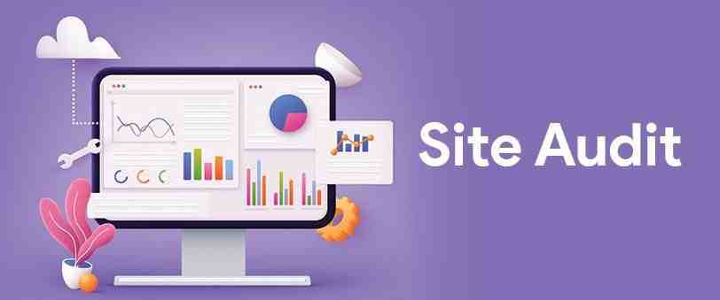 Site Audit