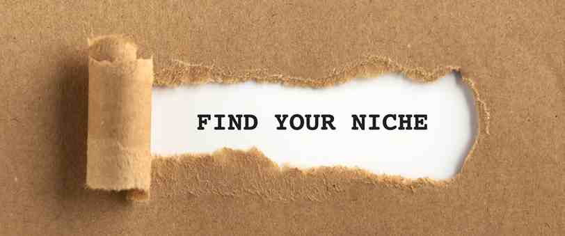 Pick your niche