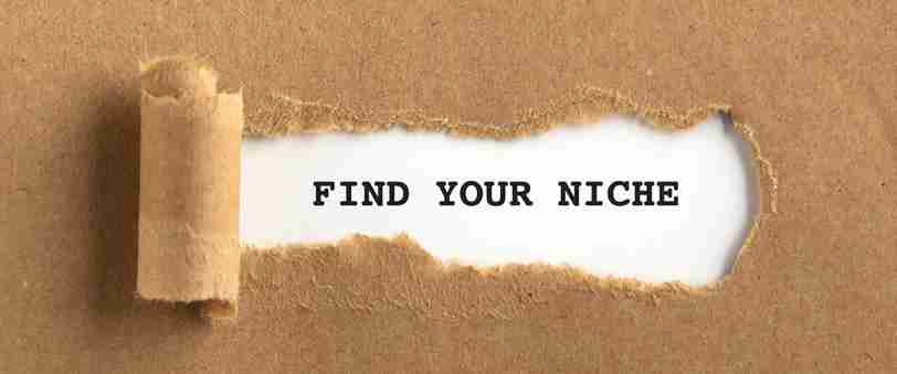 Identify your niche