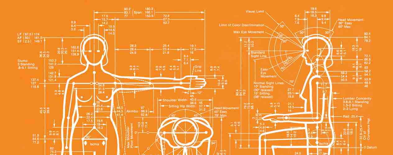 Ergonomics and Anthropometry