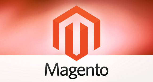 Magento course