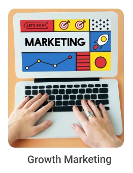Best Online Digital Marketing Course | Web D School